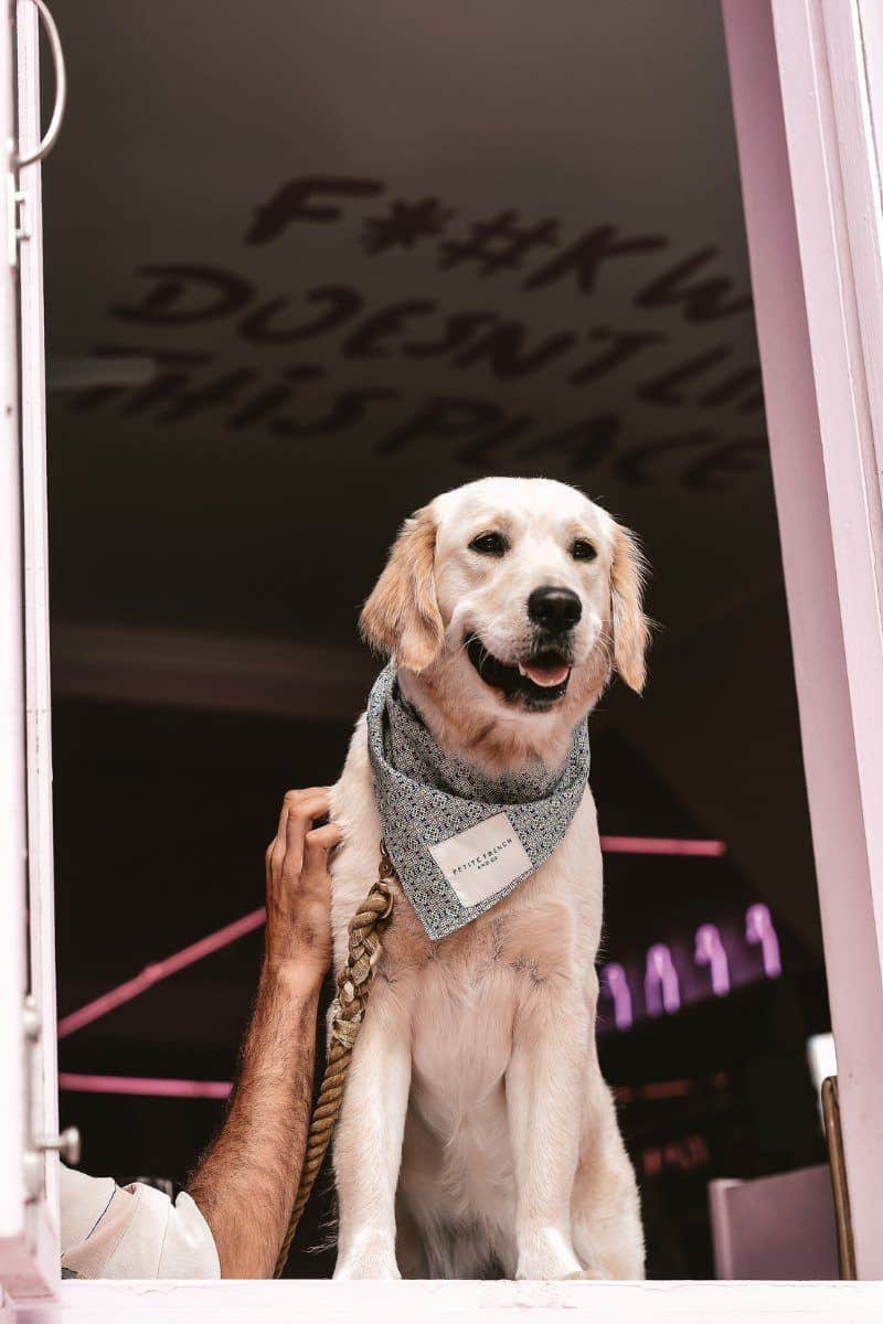 Bandana