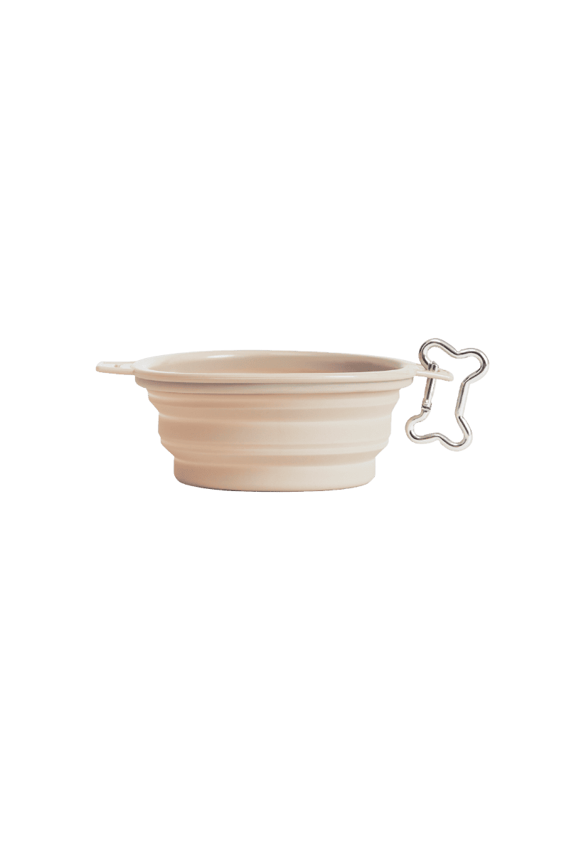 On-the-go Bowl