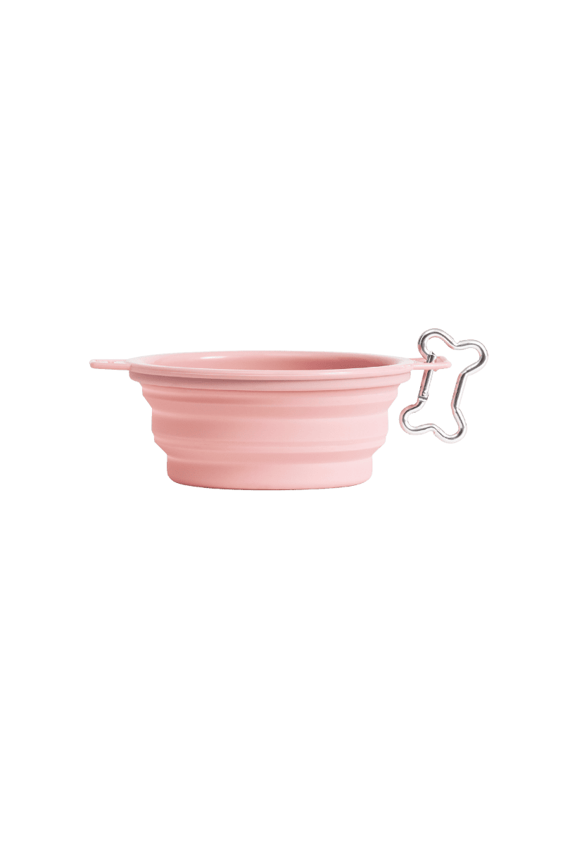 On-the-go Bowl