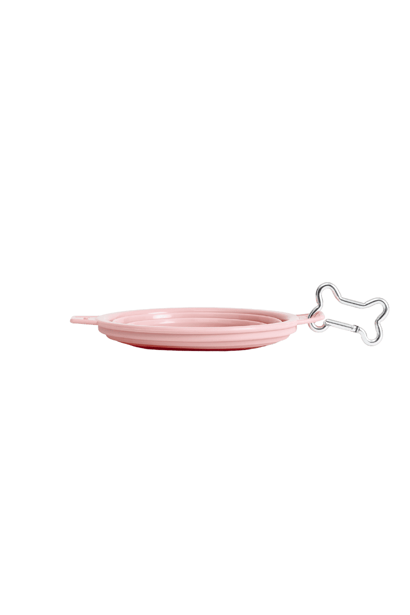 On-the-go Bowl
