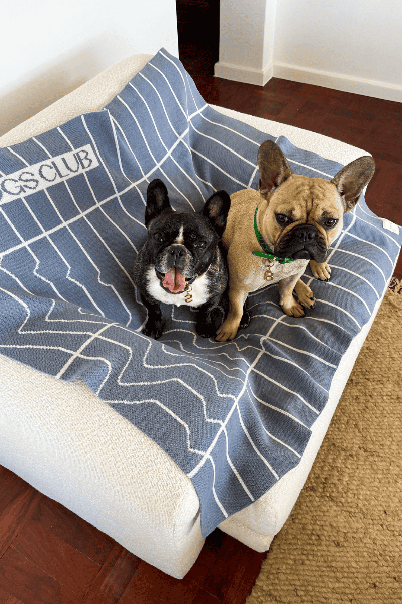 Luxury Blanket