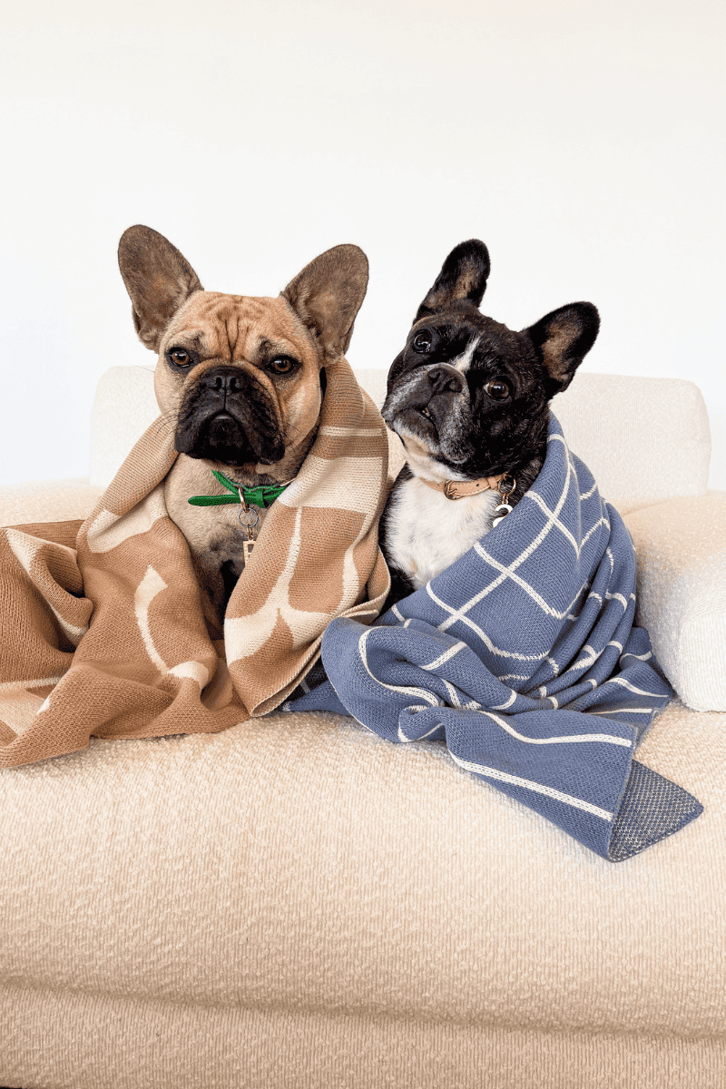 Hypoallergenic blankets for dogs best sale