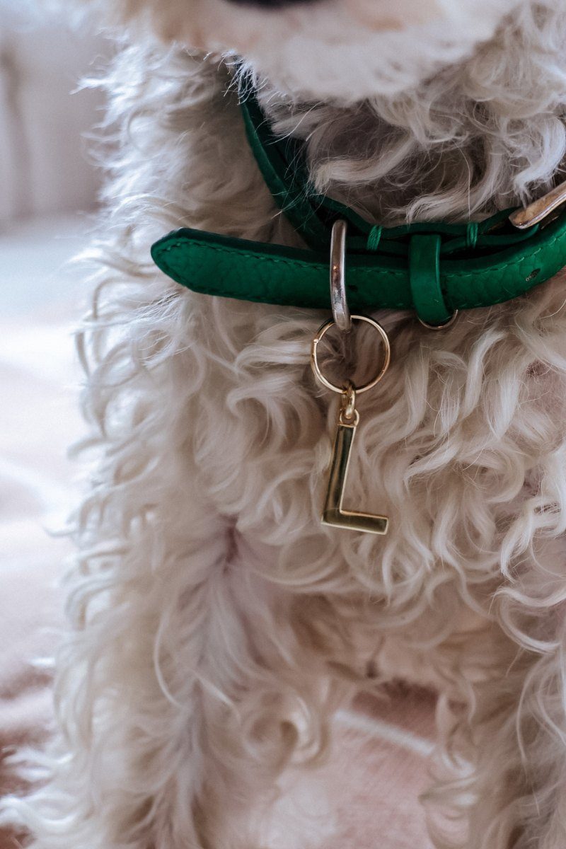 Brass Luxury Name Tag