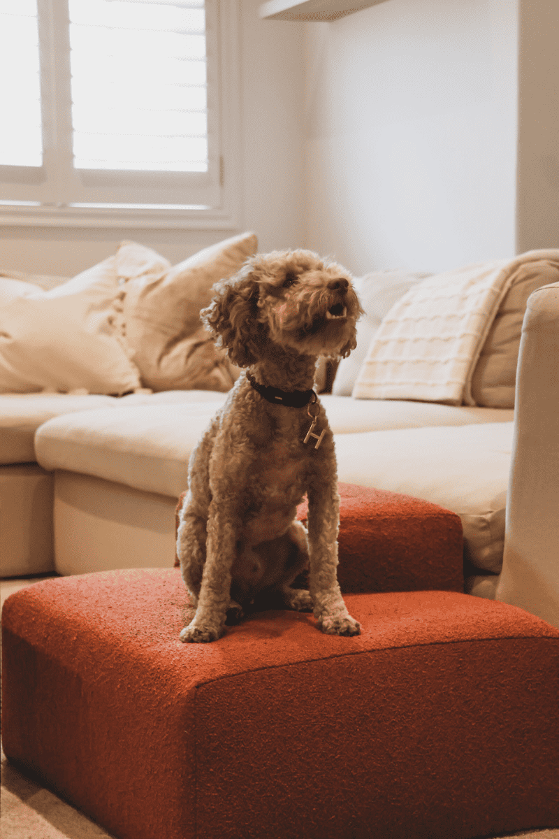 Couch Step Up | Taupe