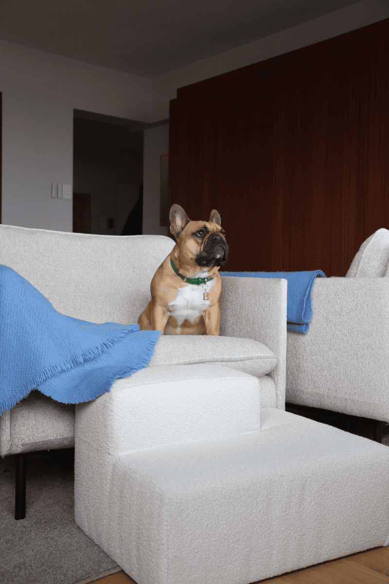 Couch Step Up | Grey
