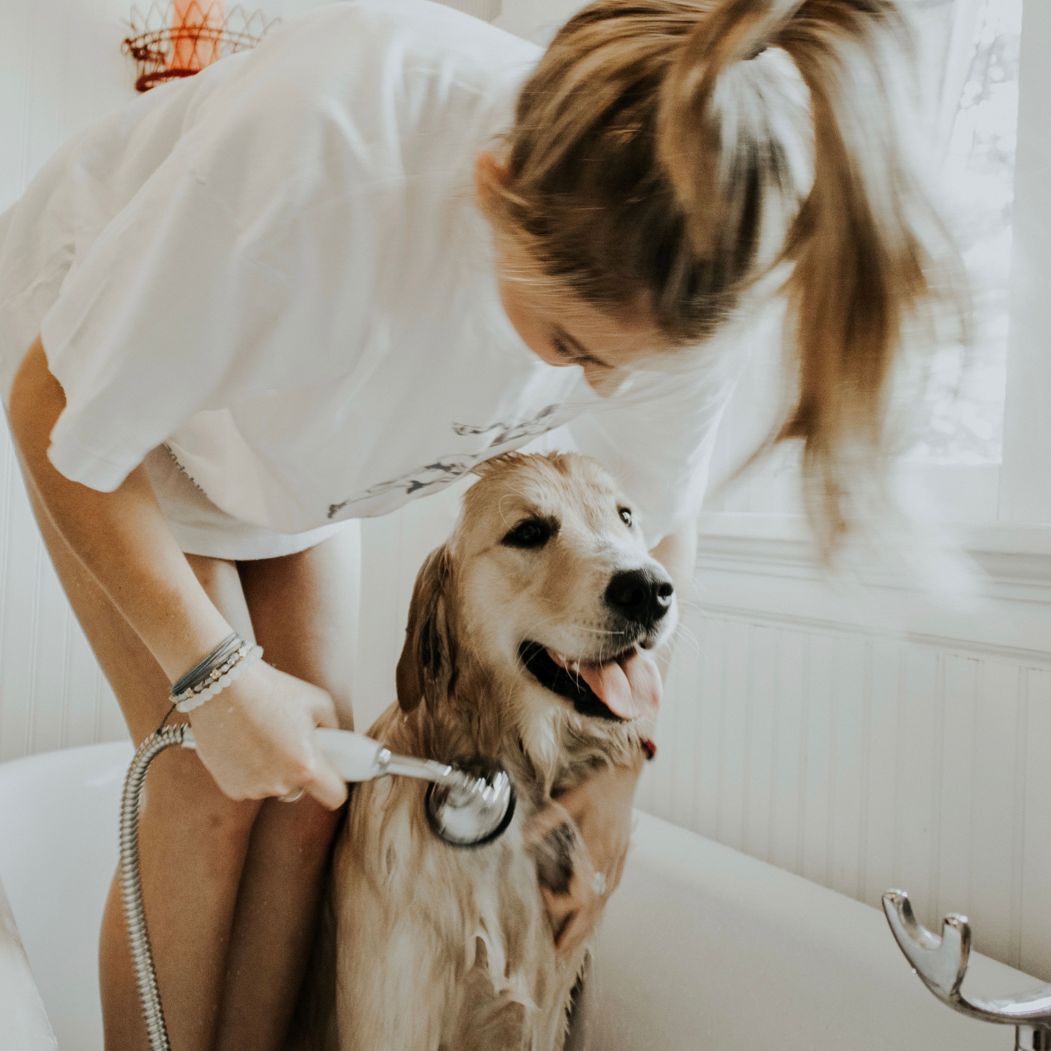 Guide to Grooming Your New Puppy